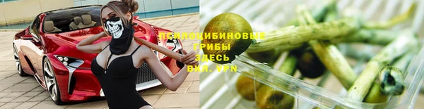 крисы Белокуриха