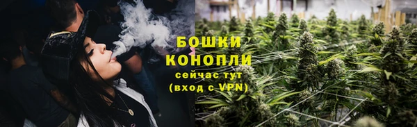 крисы Белокуриха